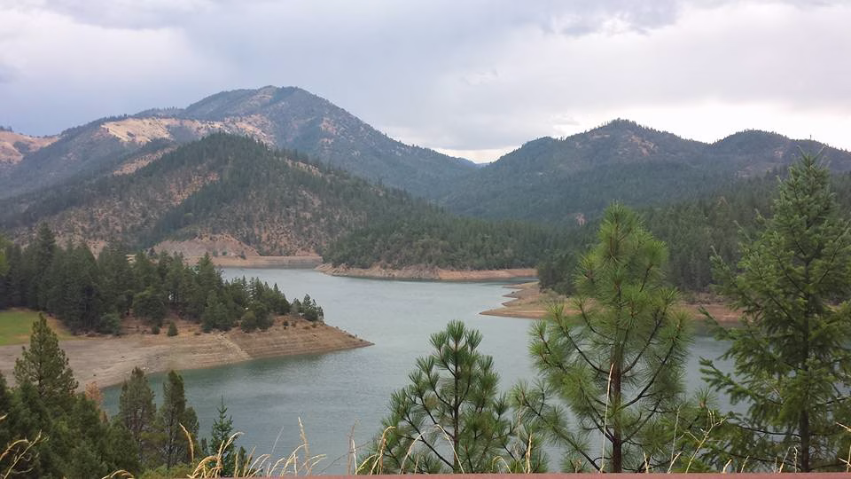 Rogue Media Solutions policies and transparency for Oregon small businesses